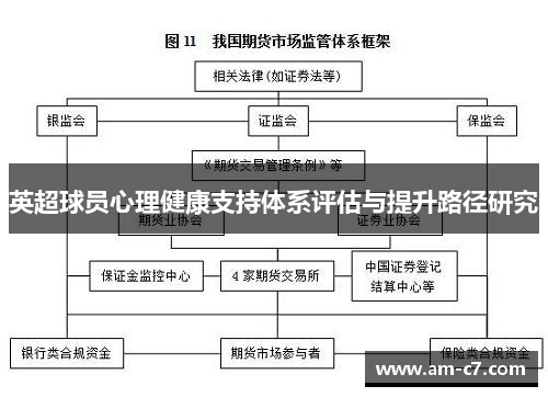 英超球员心理健康支持体系评估与提升路径研究