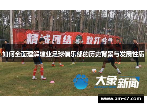如何全面理解建业足球俱乐部的历史背景与发展性质