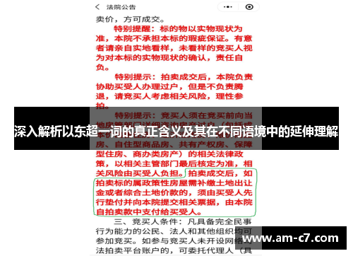 深入解析以东超一词的真正含义及其在不同语境中的延伸理解