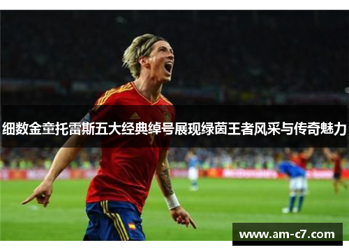 细数金童托雷斯五大经典绰号展现绿茵王者风采与传奇魅力