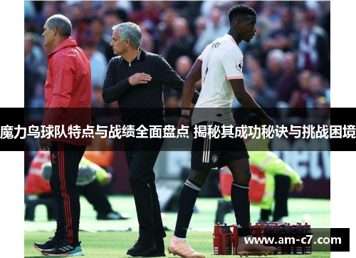 魔力鸟球队特点与战绩全面盘点 揭秘其成功秘诀与挑战困境