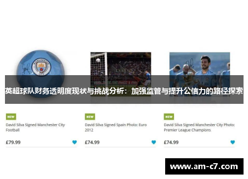 英超球队财务透明度现状与挑战分析:加强监管与提升公信力的路径探索 英超球队财务透明度现状与挑战分析:加强监管与提升公信力的路径探索