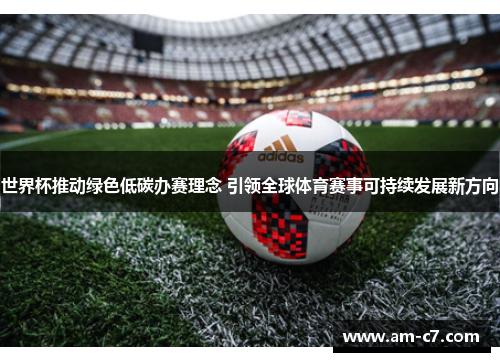 世界杯推动绿色低碳办赛理念 引领全球体育赛事可持续发展新方向 世界杯推动绿色低碳办赛理念 引领全球体育赛事可持续发展新方向