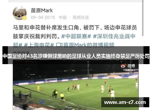 中国足协对43名涉嫌假球黑哨的足球从业人员实施终身禁足严厉处罚 中国足协对43名涉嫌假球黑哨的足球从业人员实施终身禁足严厉处罚