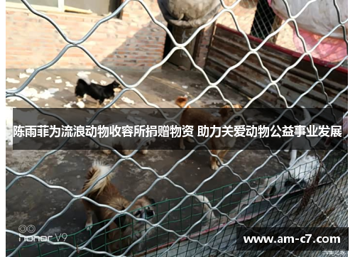 陈雨菲为流浪动物收容所捐赠物资 助力关爱动物公益事业发展
