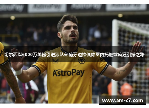 切尔西以6000万英镑引进狼队葡萄牙边锋佩德罗内托继续疯狂引援之路 切尔西以6000万英镑引进狼队葡萄牙边锋佩德罗内托继续疯狂引援之路